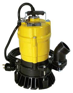 Electric Submersible Pump